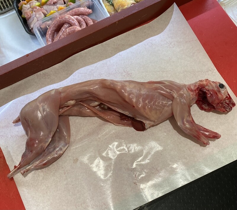 CONIGLIO NOSTRANO INTERO (1,6/1,8 kg l'uno)