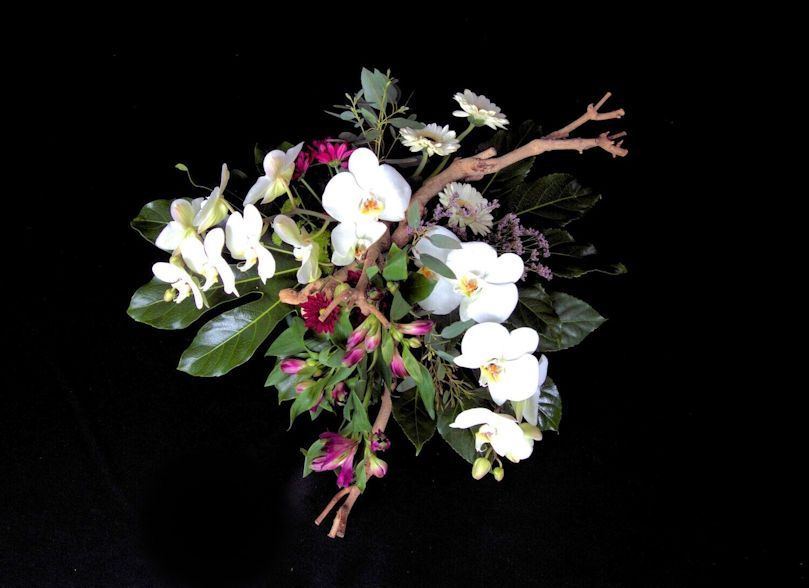 Bloemstuk  Phalaenopsis