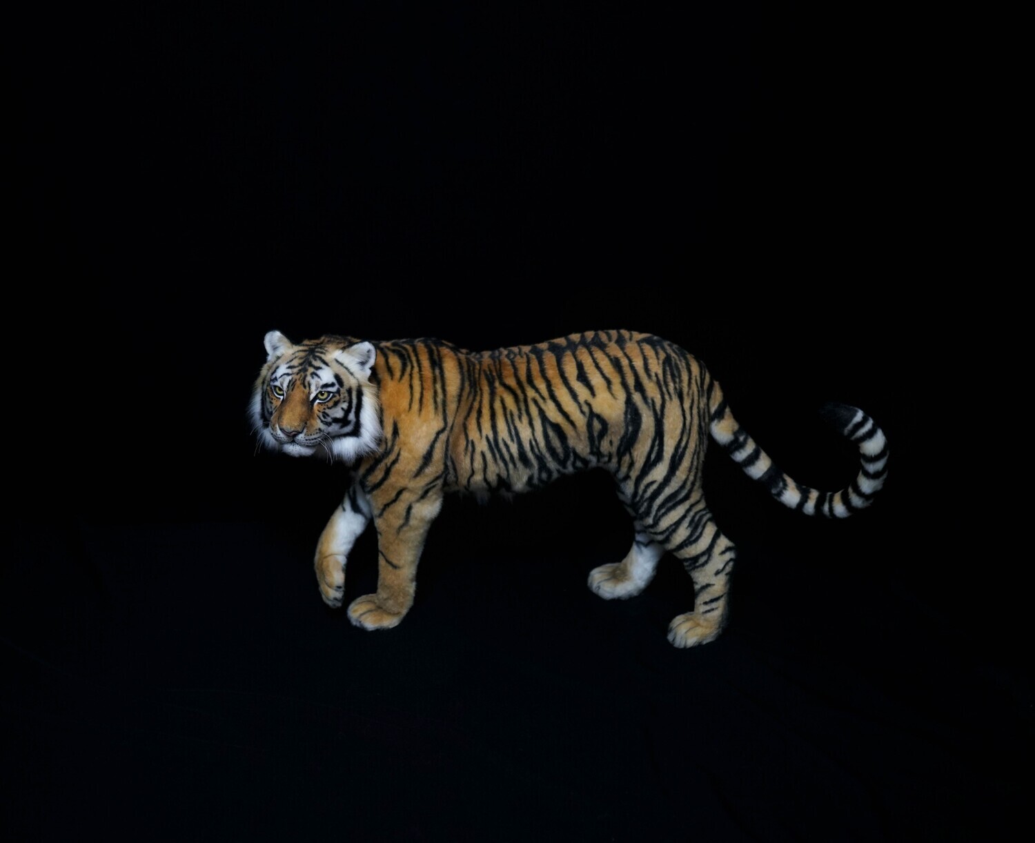 E-commerce Product Image
