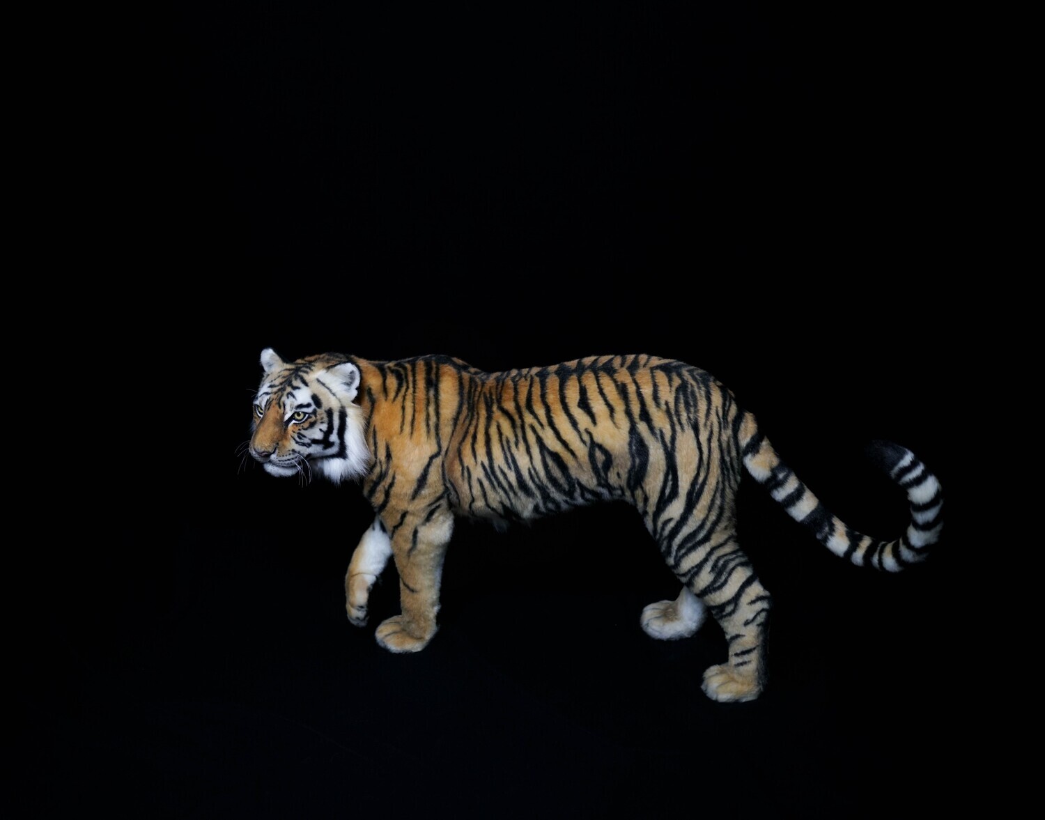 E-commerce Product Image