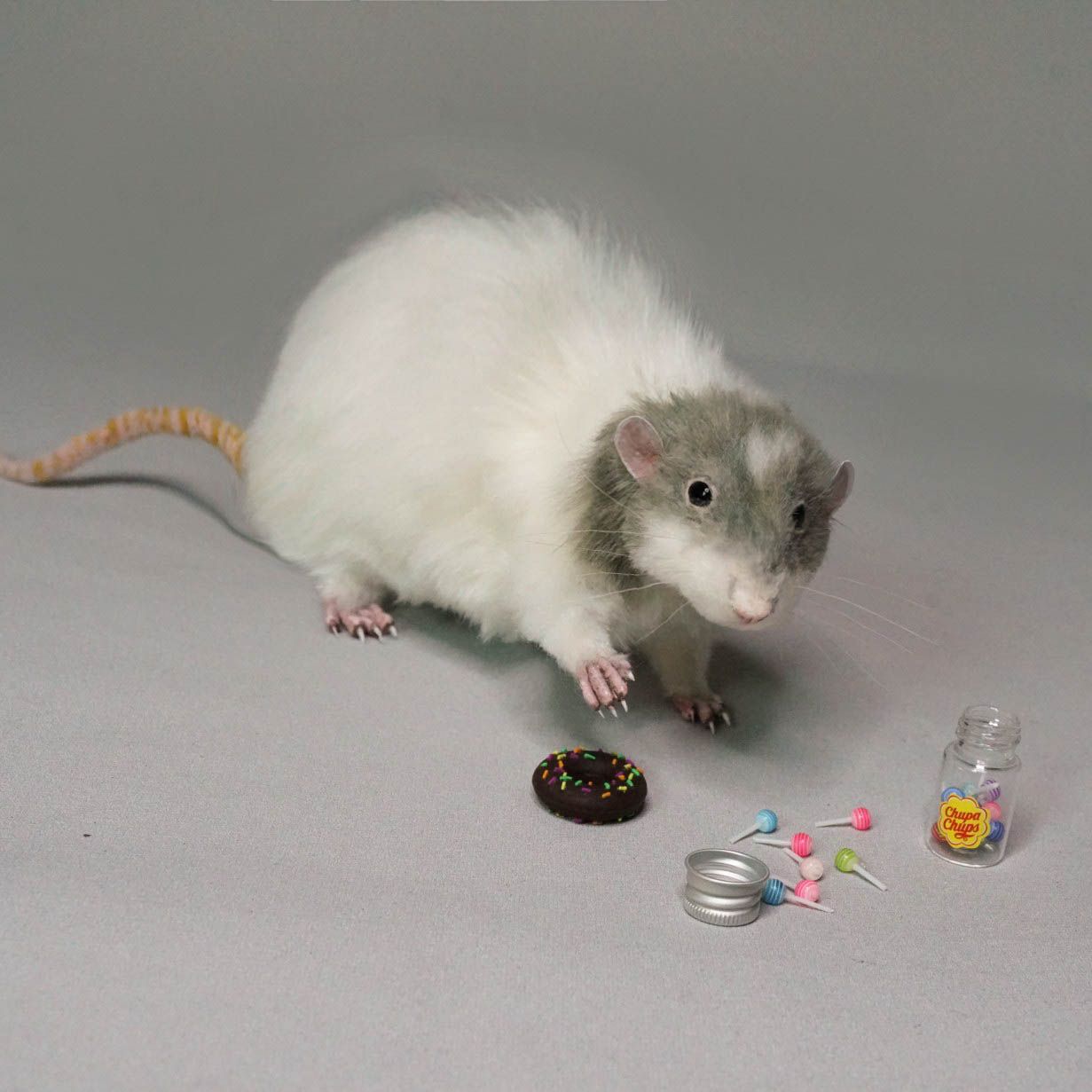 E-commerce Product Image