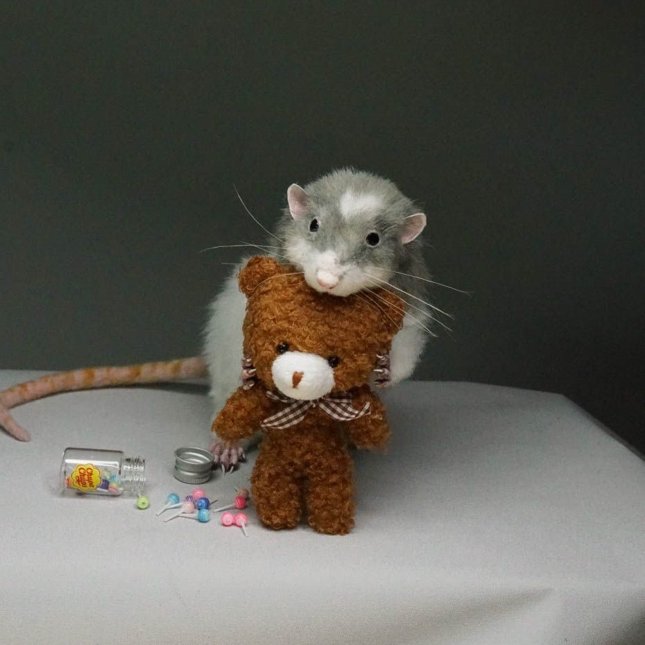 E-commerce Product Image