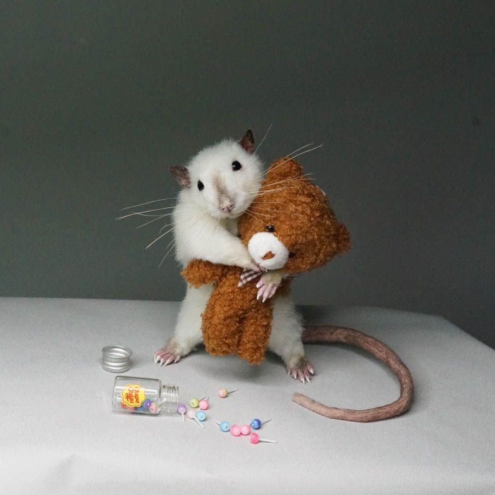 E-commerce Product Image