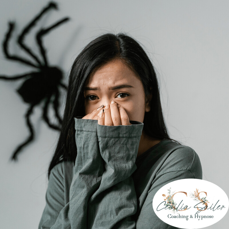 Stop arachnophobie