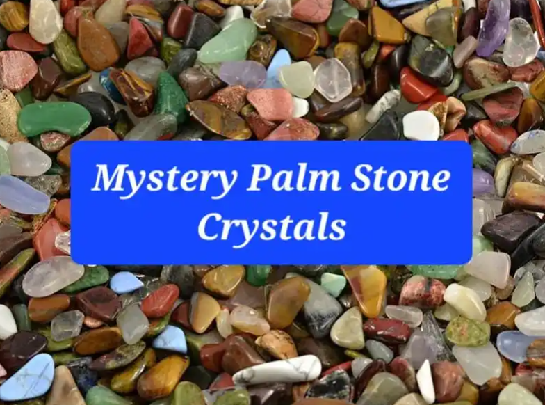 Mystery Bag of Small Palm Stone Crystals