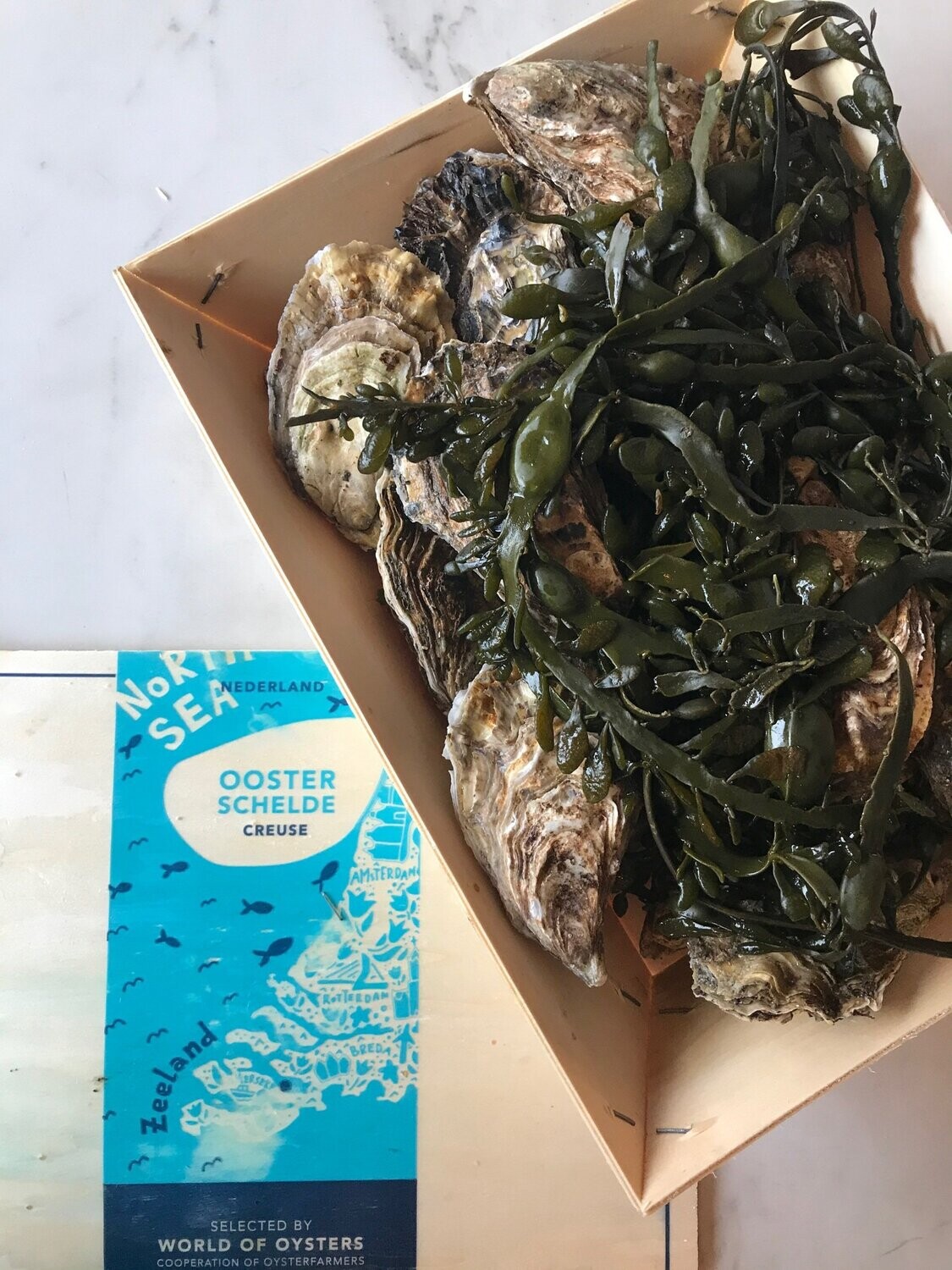 Zeeuwse oester, open