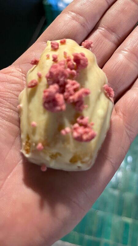 Madeleine groot witte chocolade