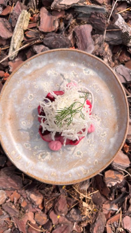 COQUILLE Rode biet, miso & krokante glasnoedel