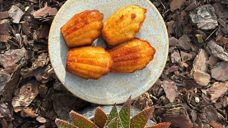 madeleines 4 stuks