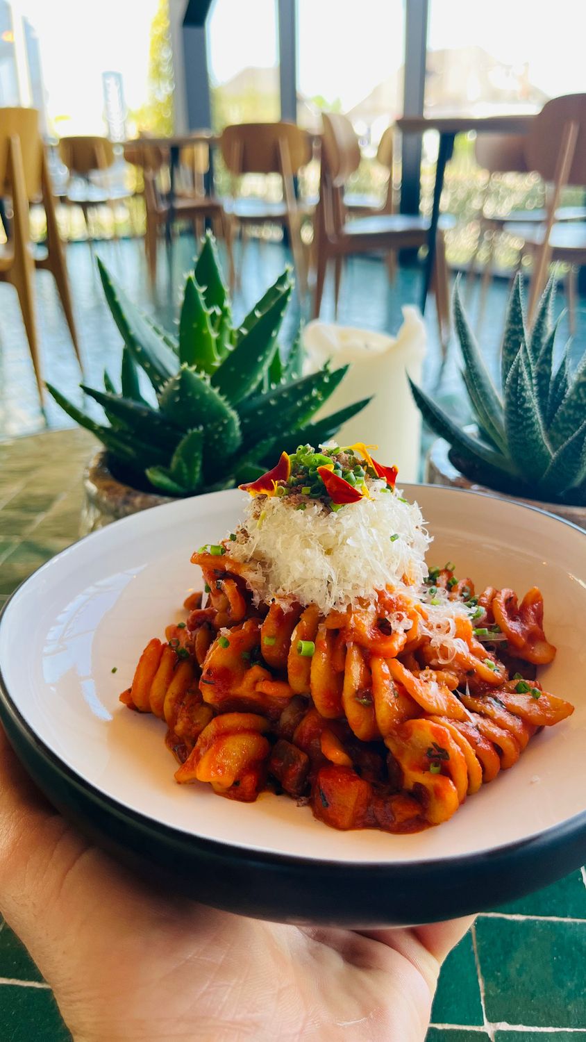 PASTA ALLA NORMA aubergine, tomatensaus & parmezaan