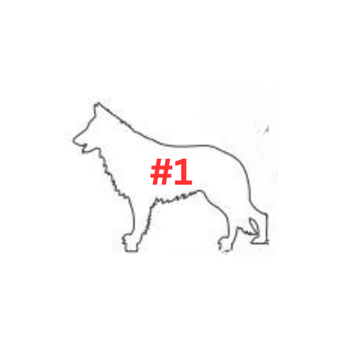 Customizable Dog Ornament, Dog Breed: #1