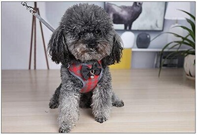 **RC GearPro Cat/Dog Breathable Soft Harness + Leash Set Adjustable Reflective Step-in Cats/Puppy Vest Mesh Padded Plaid for Large Cats; Brand: RC GearPro; Size: LARGE; Color: RED