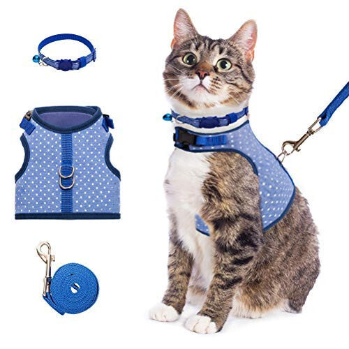 Bingpet cat harness sale