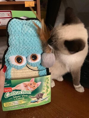 Hartz Cattraction Silver Vine &amp; Catnip Cat Toys; Gator Scratch - (BLUE); Brand: Hartz; Style: Gator Scratch