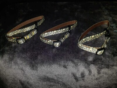 (1)  Leopard Print Snap/Press Collar (NOT Breakaway Collar)