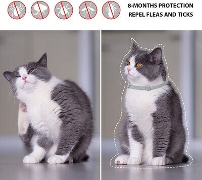 FLEA COLLARS - Pets vv 2 Pack Cat Flea Collar with 8 Months, Flea Collar for Cats Easy to Repels Fleas &amp; Ticks, Safe and Effective Cat Flea and Tick Collars; Brand: Pets vv