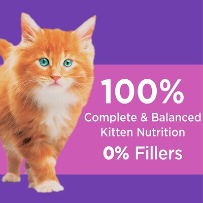 IAMS PROACTIVE HEALTH Healthy KITTEN Dry Cat Food Chicken Recipe; Style: Dry Food; Size: 3.5 lb.
