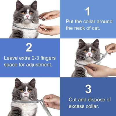 FLEA COLLARS - Pets vv 2 Pack Cat Flea Collar with 8 Months, Flea Collar for Cats Easy to Repels Fleas &amp; Ticks, Safe and Effective Cat Flea and Tick Collars