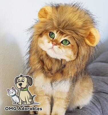**OMG Adorables Lion Mane Costume for Cat; Brand: OMG Adorables; ​Size: Cat
