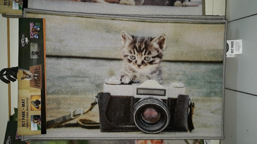 ( 1) Large Decorative Cat Mat, Size 31″ x 19″ by Pet Park / Mascotas Size: Large (31 inches x 19 inches); (Cat &amp; Camera)