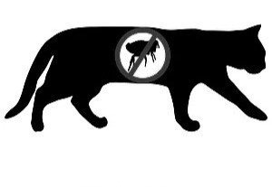 Flea &amp; Tick - Treatment (All Flea &amp; Tick)