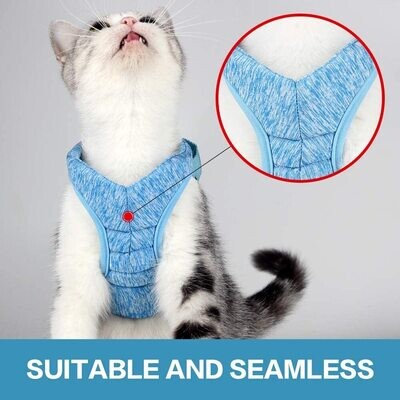 *HEYWEAN Cat Harness and Leash - Ultra Light Escape Proof Kitten Collar Cat Walking Jacket with Running Cushioning Soft and Comfortable Suitable for Kittens, Cats, Puppies Rabbits (M, Blue) - MEDIUM