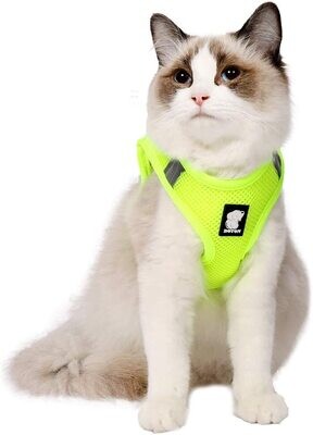 *HEYWEAN Cat Harness and Leash - Ultra Light Escape Proof Kitten Collar Cat Walking Jacket with Running Cushioning Soft and Comfortable Suitable for Puppies Rabbits (L, Fruit Green) - LARGE