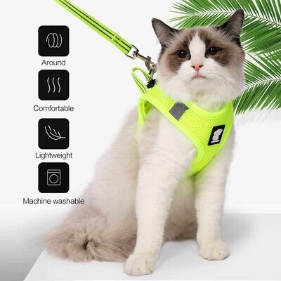 *HEYWEAN Cat Harness and Leash - Ultra Light Escape Proof Kitten Collar Cat Walking Jacket with Running Cushioning Soft and Comfortable Suitable for Puppies Rabbits (L, Fruit Green) - LARGE