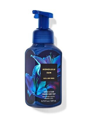 Bath &amp; Body Works Honolulu Sun Gentle &amp; Clean Foaming Hand Soap