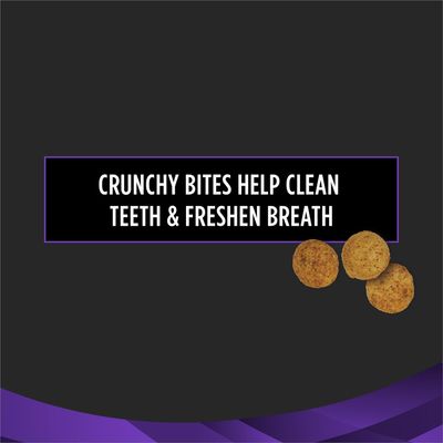 Purina Pro Plan Veterinary Diets Dental Bites Cat Treats - 1.8 oz. Pouch - DENTAL