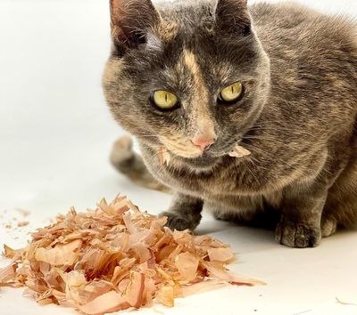 Cat Sushi Bonito Flakes, Thick Cut, 0.7 oz; Brand: Cat Sushi - (LARGE Pack)