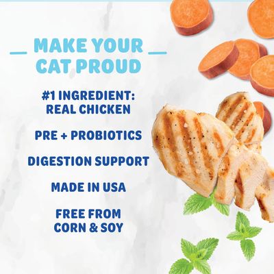 *Shameless Pets Celebration Birthday Crunchy Cat Treats Chicken and Catnip Treats with Digestive Support