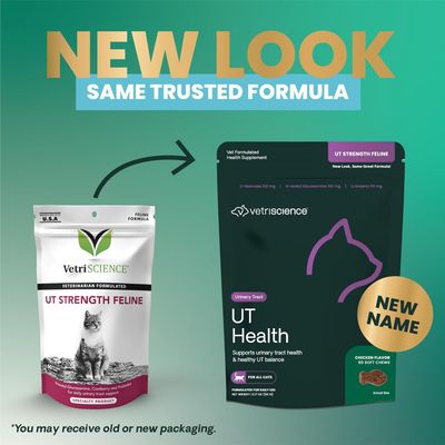VetriScience UT Health Chews, UT Strength Cranberry and D-Mannose Bladder &amp; Urinary Tract Supplement for Cats, With Bromelain and Probiotics, Chicken, 60 Count