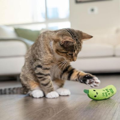 * Catstages Crunchy Pickle Kicker Dental Catnip Cat Toy - "I'm kind of a big dill"