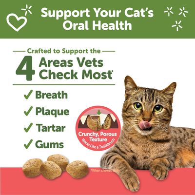 WHIMZEES Wellness Cat Dental Treats, Natural Chews, Chicken and Salmon Flavor, (2 Ounce Bag); Flavor Name: Chicken &amp; Salmon - DENTAL CARE