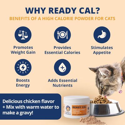 *Under the Weather Ready Cal Powder for Cats | High-Calorie Weight Gainer &amp; Appetite Stimulant | Cat Energy Booster Veterinarian-Approved Pet Supplement with Vitamins &amp; Minerals | Chicken Flavor
