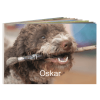 Fotobog brilliant mini 13x17