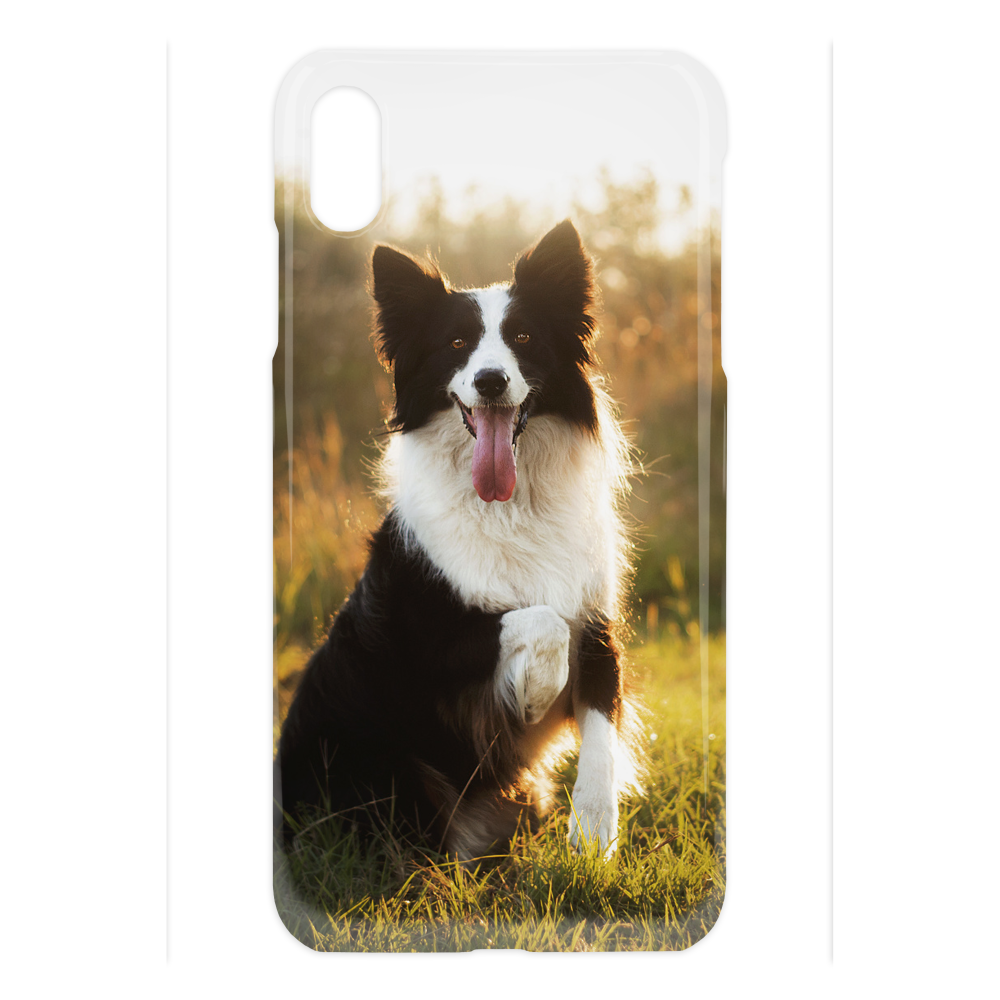 Prestige iPhone XS Max