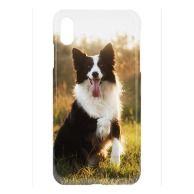 Prestige iPhone XS Max