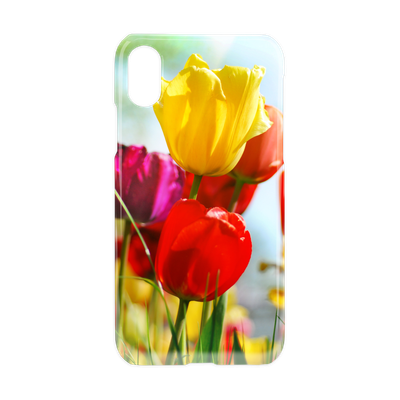 Prestige iPhone X