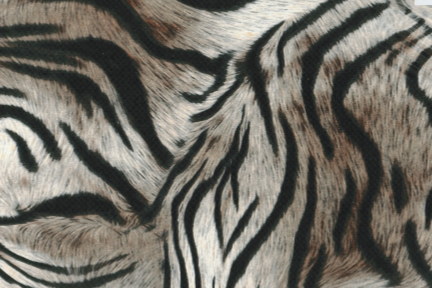 Shoppingbag crazy Tiger ab