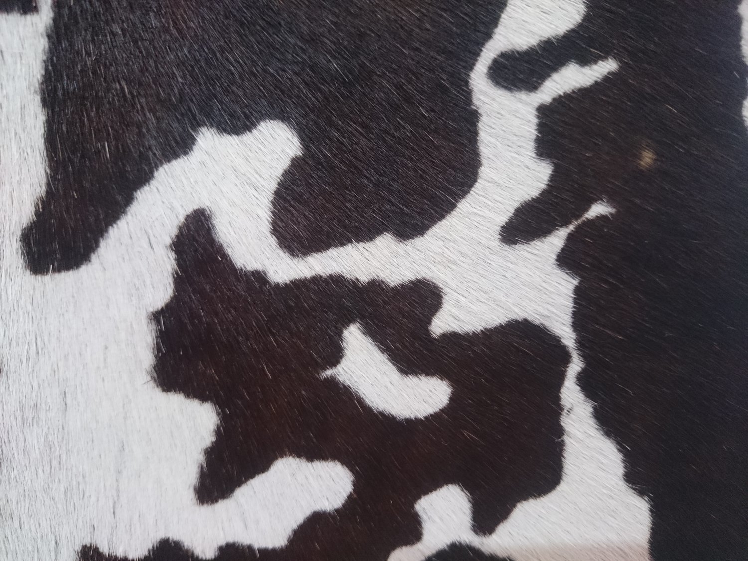 Handtasche mini / Stierfell "Kuh" ab