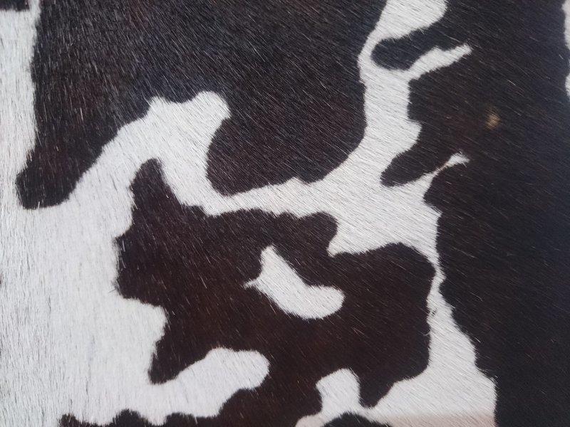 Handtasche mini / Stierfell "Kuh" ab