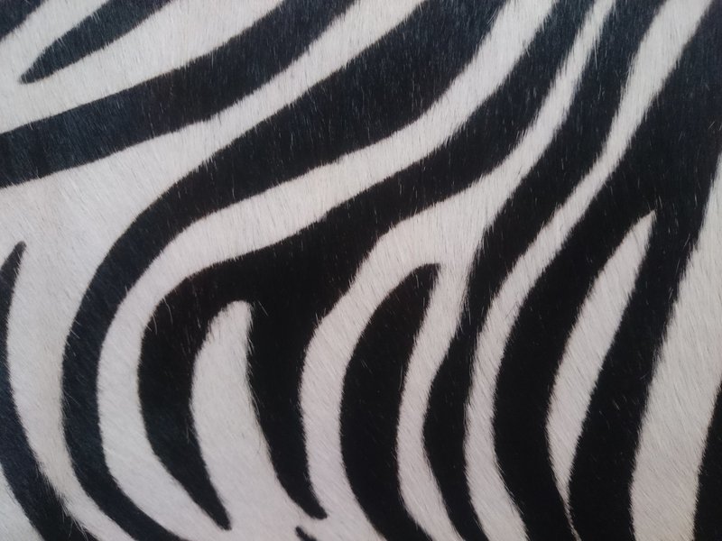 Handtasche klein / Stierfell "Zebra" ab