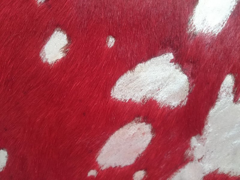 Handtasche klein / Stierfell rot mit Muster in silber ab