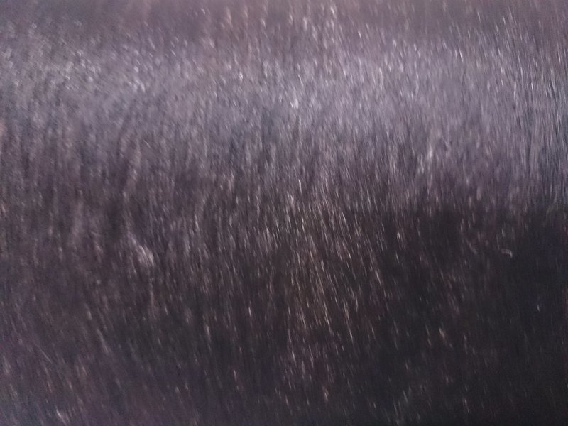 Handtasche mit Stierfell schwarz und Dekor - Reissverschluss ab