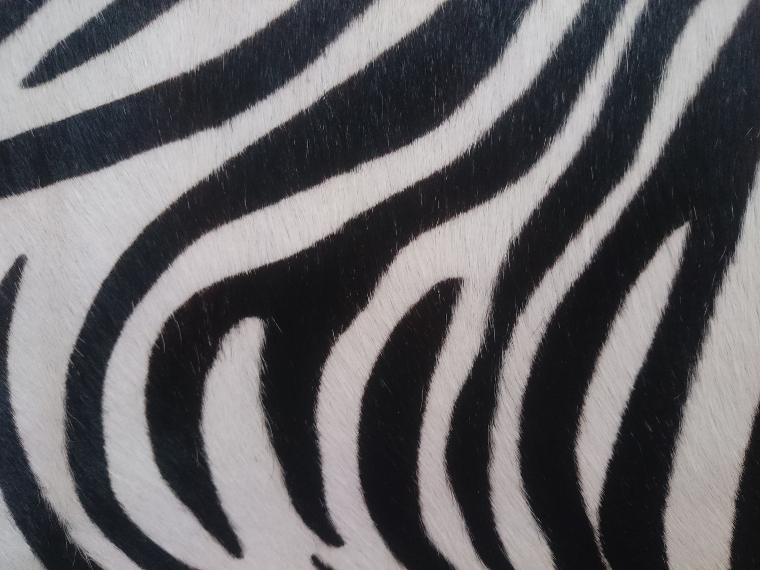 Handtasche mit Stierfell "Zebra" und Dekor - Reissverschluss ab