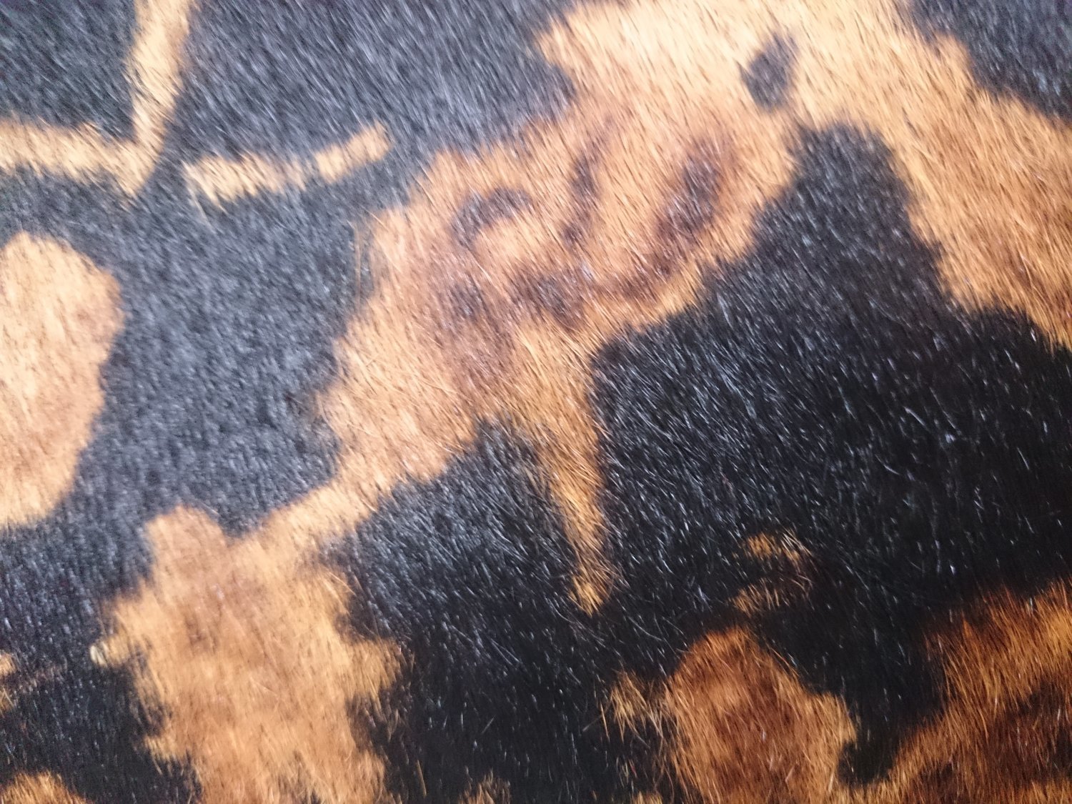 Handtasche mit Stierfell Artist preto und Dekor - Reissverschluss ab