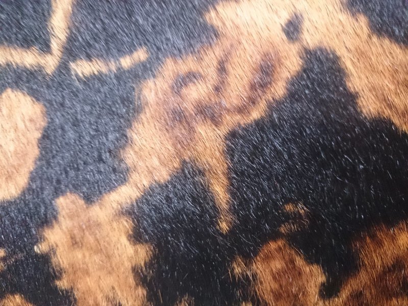 Handtasche mit Stierfell Artist preto und Dekor - Reissverschluss ab