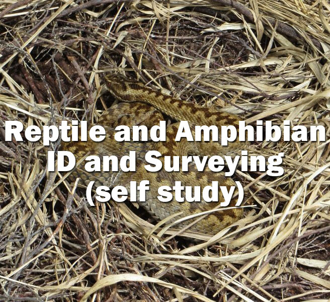 Reptile And Amphibian Id And Surveying Self Study Course
